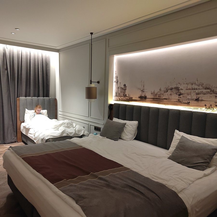 Livro Hotel Istanbul — Guest room