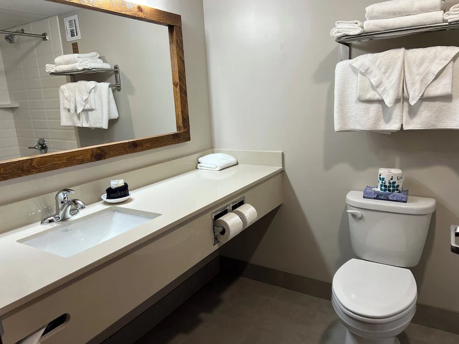 Lodge Of The Ozarks — Bathroom