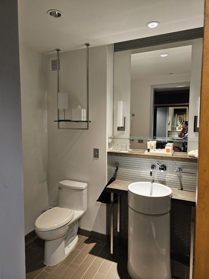 Loews Chicago Hotel Chicago Illinois — Bathroom