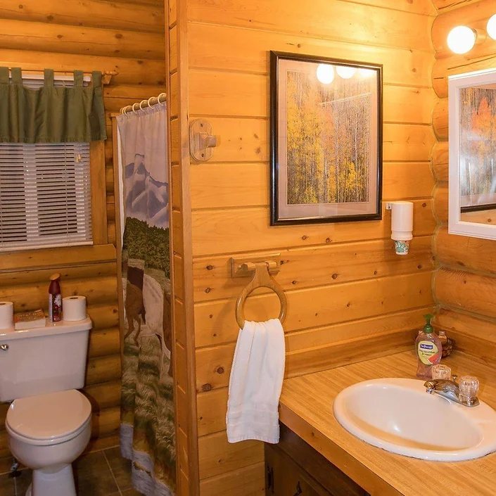 Log Cabin Wilderness Lodge — Bathroom