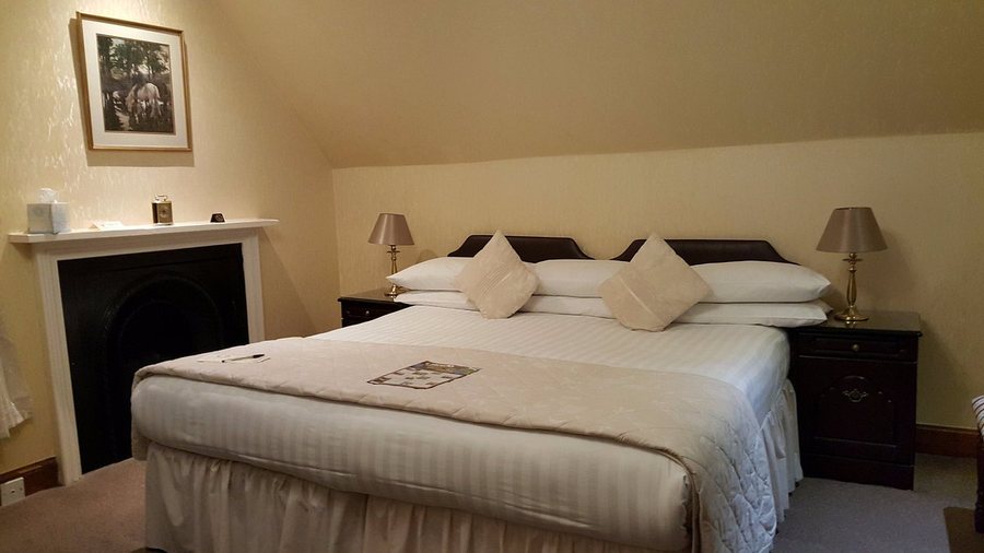 Log Spirit Bed and Breakfast — Guest room