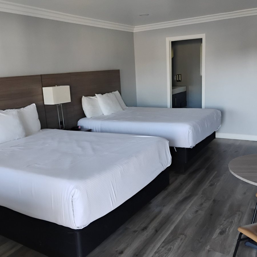 Lone Oak Lodge — Guest room