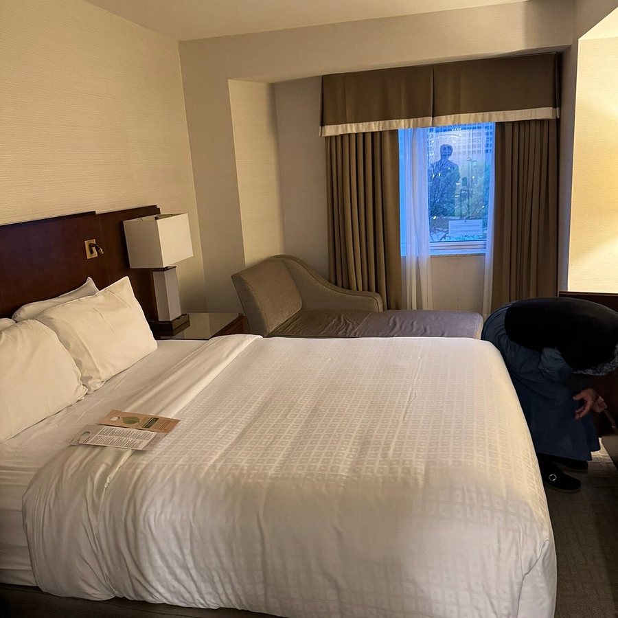 Lord Elgin — Guest room