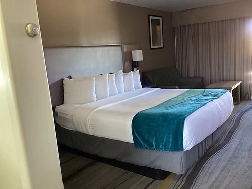 Los Viajeros Inn — Guest room