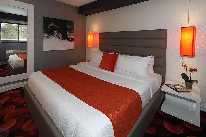 Luxen Hotel Hollywood Los Angeles California — Guest room
