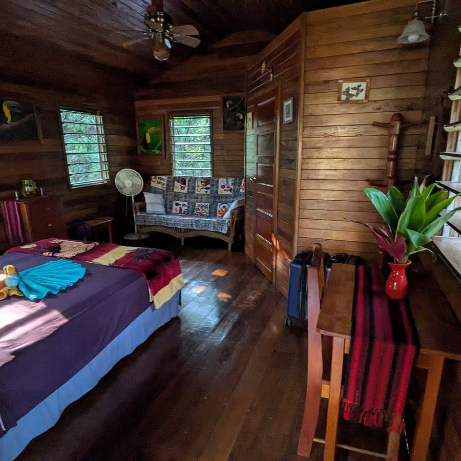 Macaw Bank Jungle Lodge — Guest room