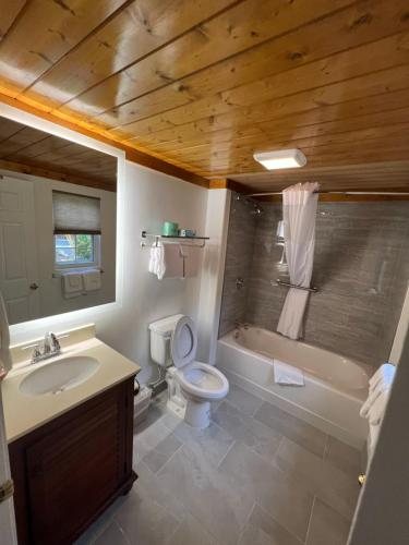 Maggie Valley Creekside Lodge — Bathroom