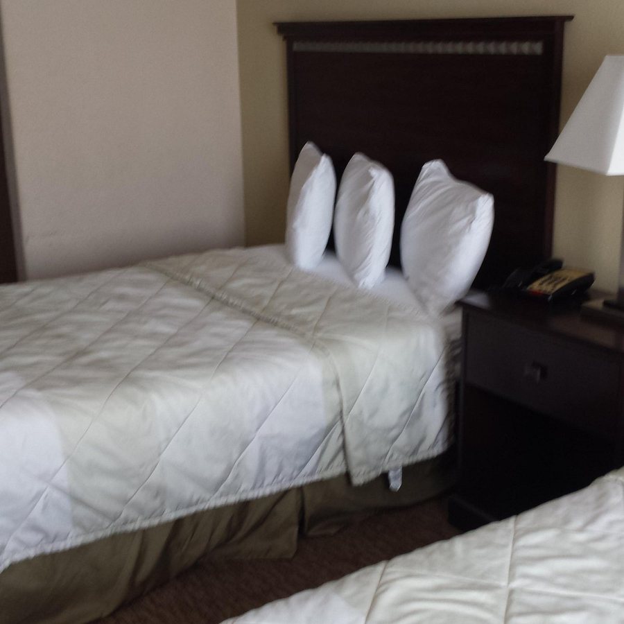 Magnolia Inn Suites Pooler — Guest room
