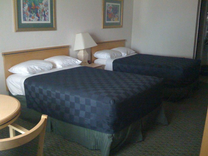 Maingate Lakeside Resort — Guest room