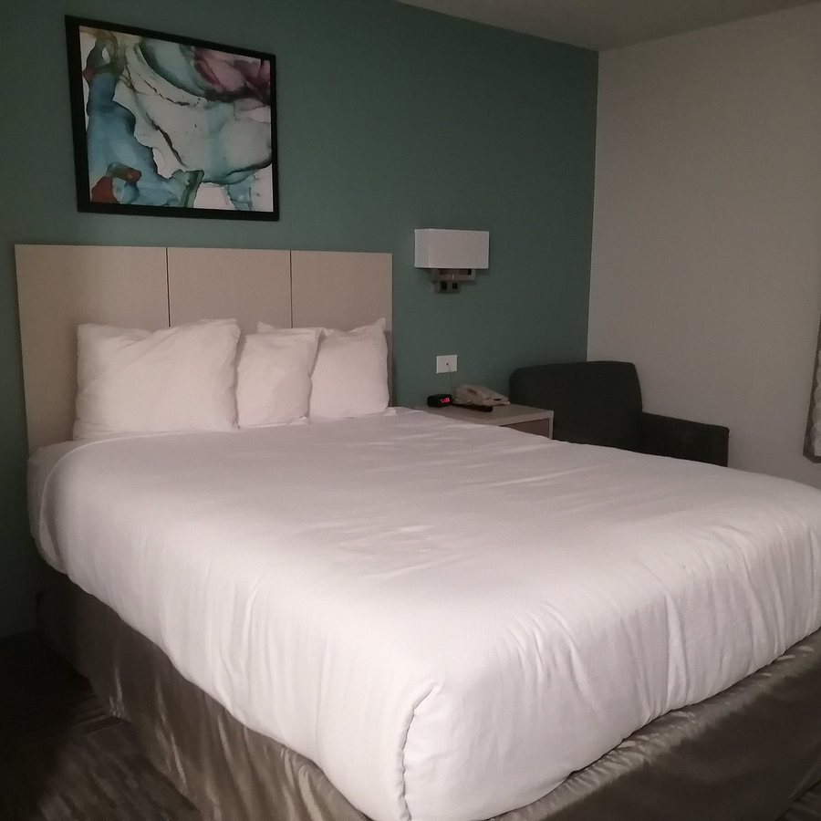Mainstay Suites — Guest room