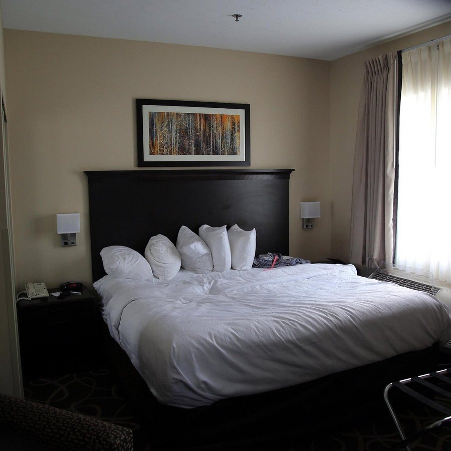 MainStay Suites Fargo I 94 Medical Center — Guest room