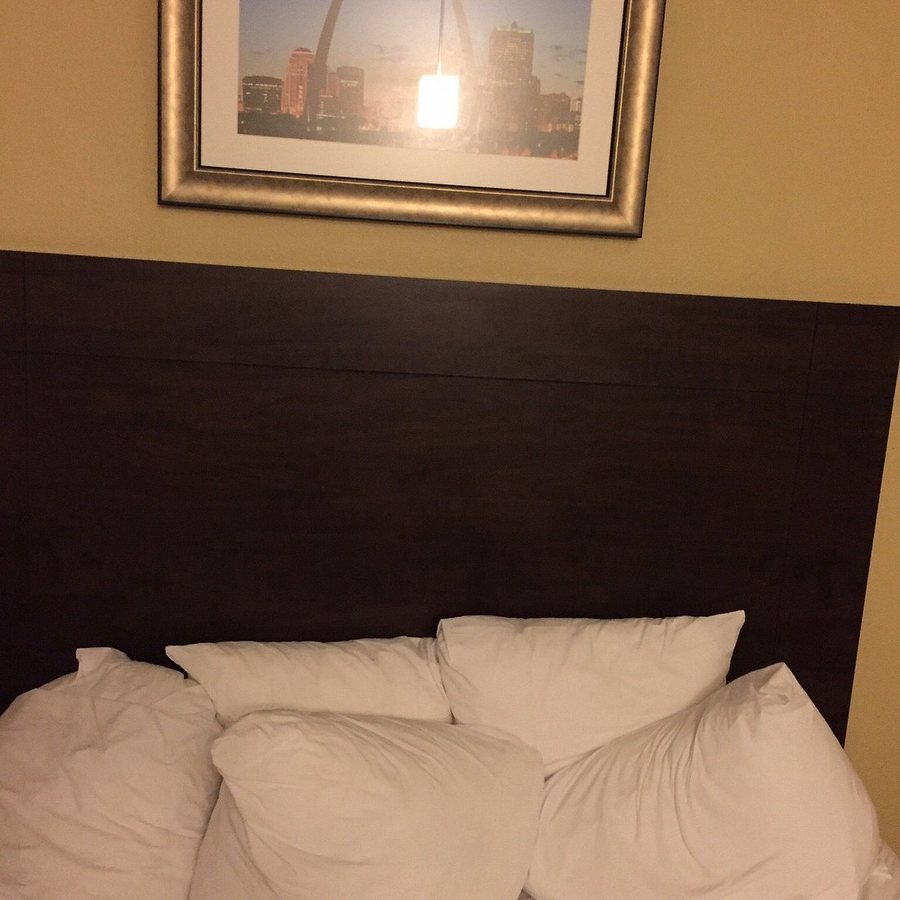 MainStay Suites St Louis Airport — Guest room