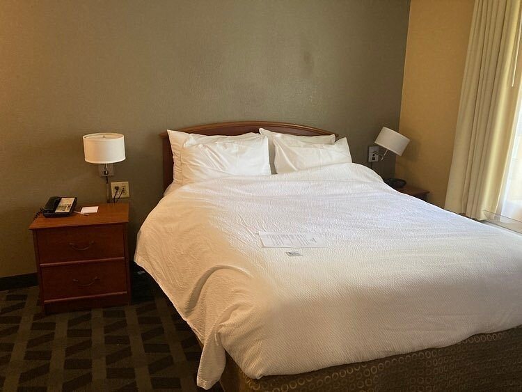 MainStay Suites Tampa Moffitt USF — Guest room