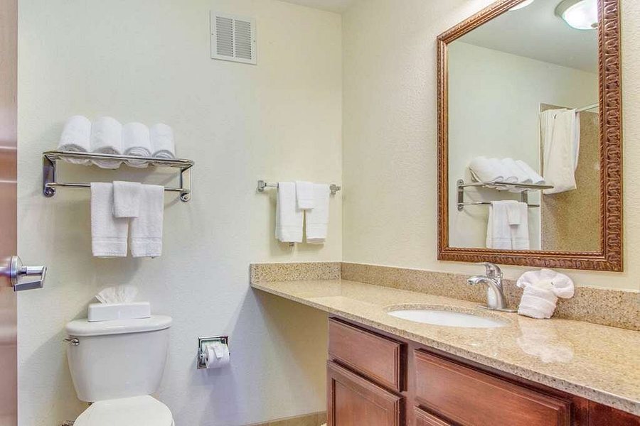 MainStay Suites Texas Medical Center Reliant Park — Bathroom