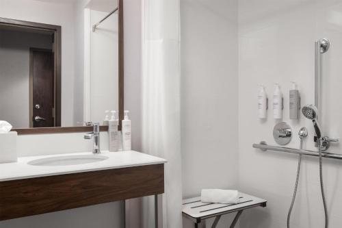 Majestic Hotel Chicago Chicago Illinois — Bathroom