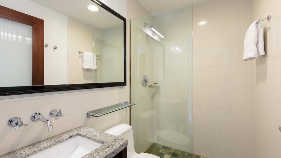 Marriott Vacation Club New York City New York City New York — Bathroom