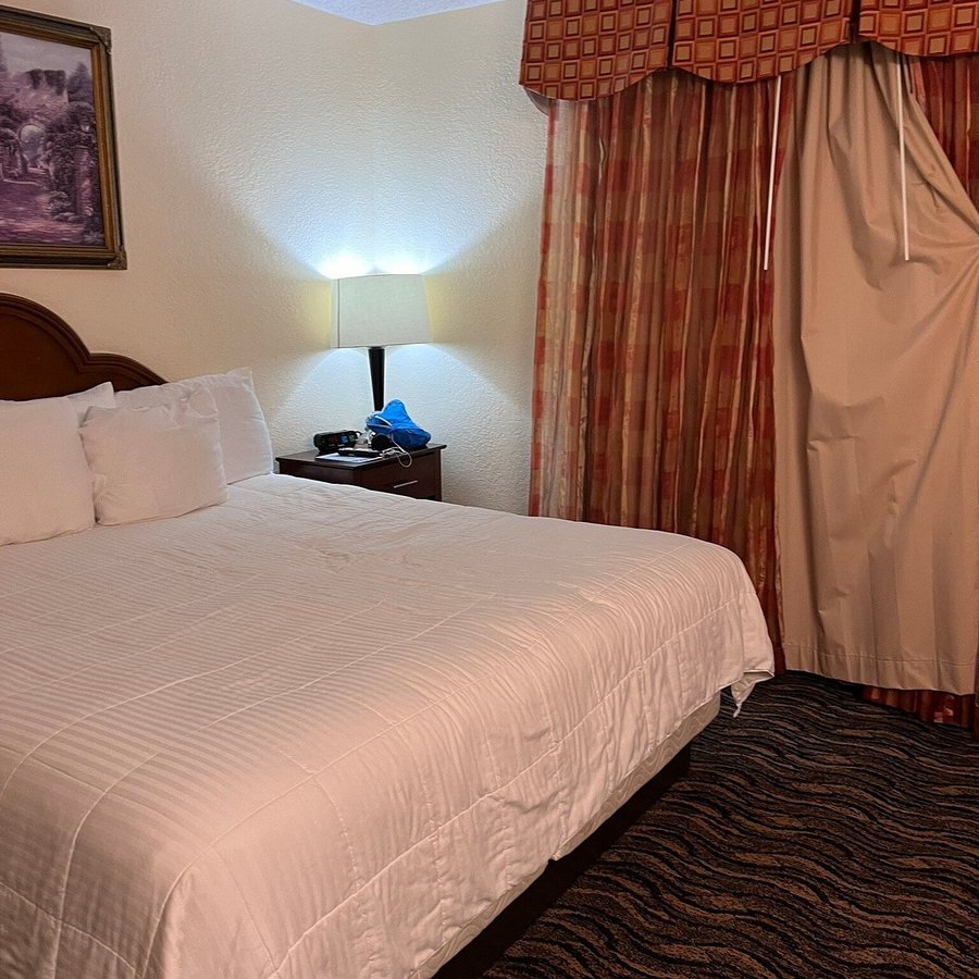 MCM Elegante Suites Abilene — Guest room