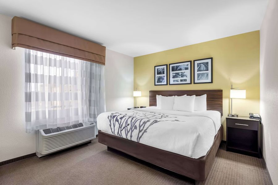 Med City Inn Suites — Guest room