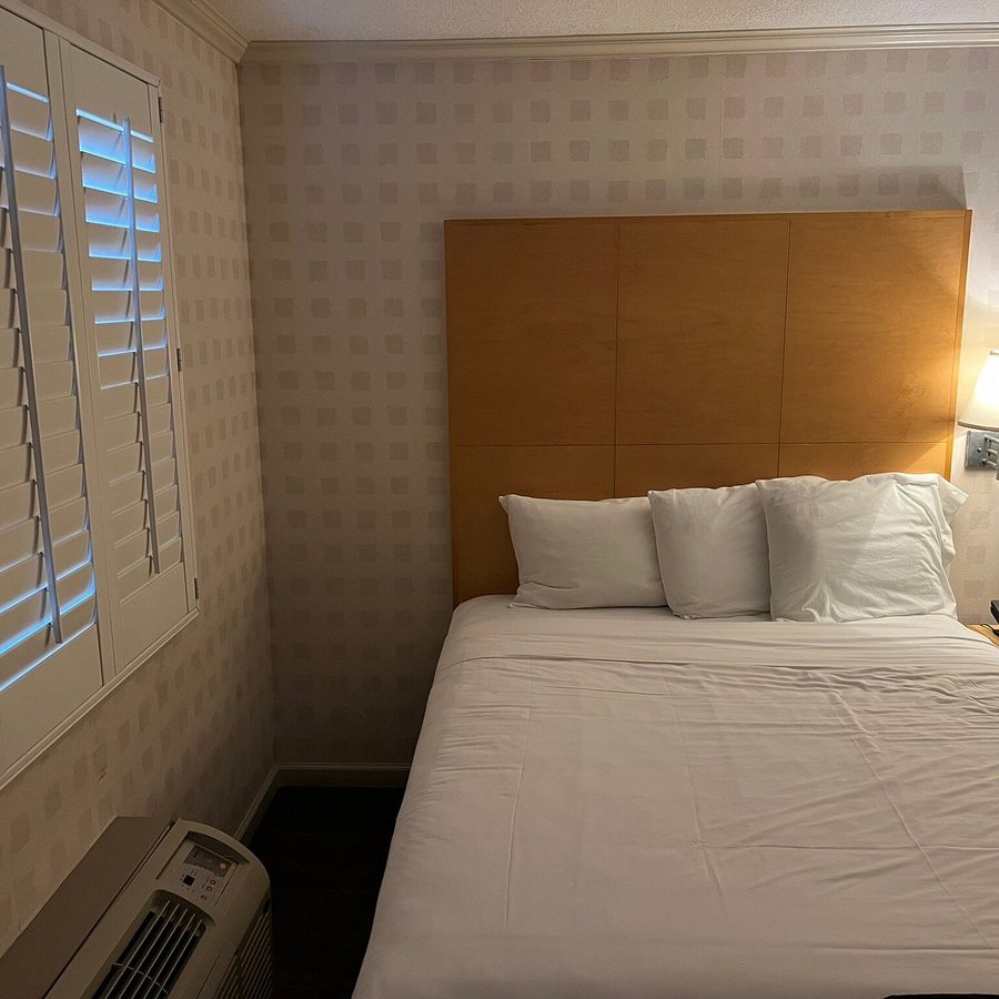 Menlo Park Inn — Guest room
