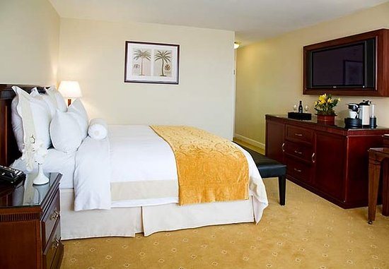 Miami Marriott Dadeland Miami Florida — Guest room