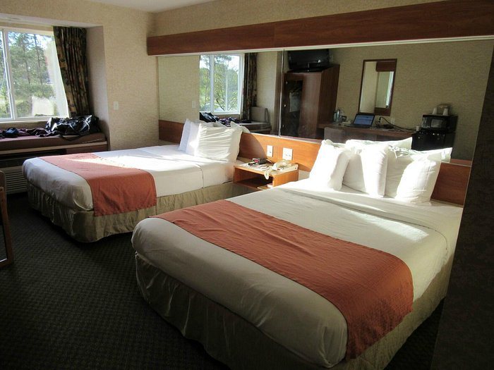 Microtel Inn Suites by Wyndham Brunswick North — Guest room