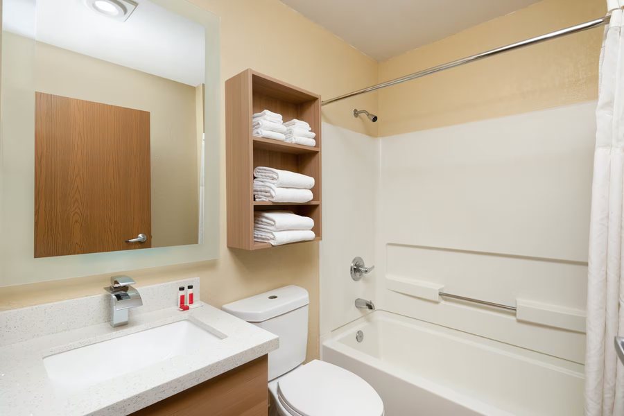 Microtel Inn Suites by Wyndham Florence — Bathroom
