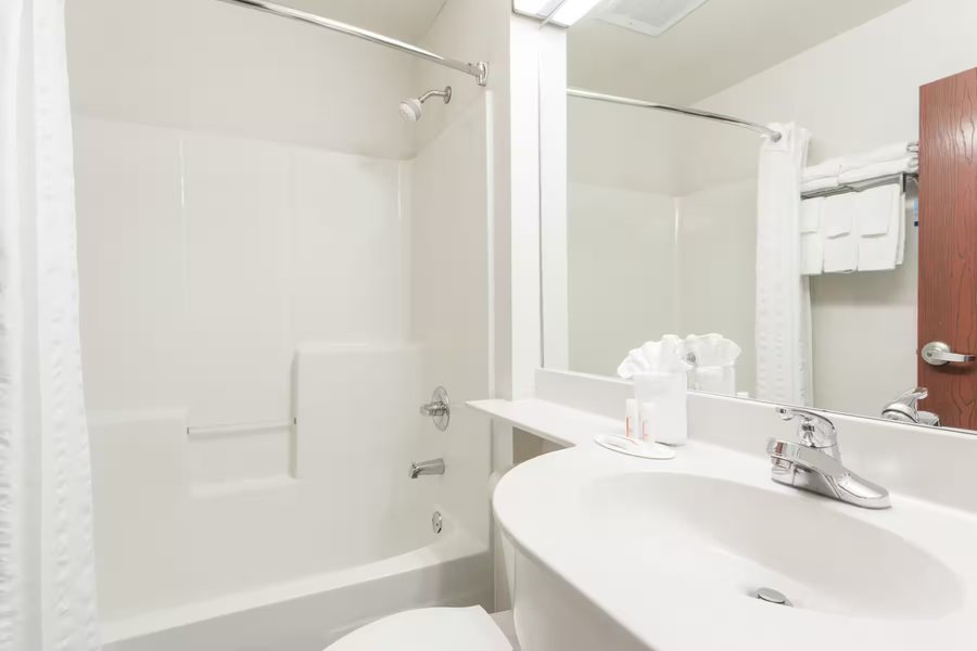 Microtel Inn Suites by Wyndham Marianna — Bathroom