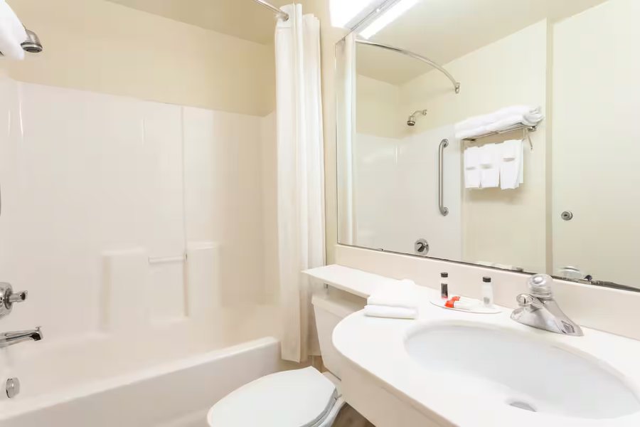 Microtel Inn Suites by Wyndham Meridian — Bathroom