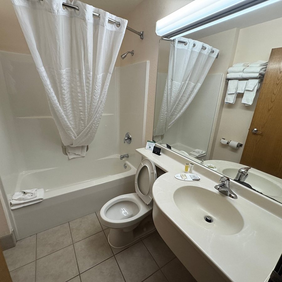 Microtel Inn Suites by Wyndham Tomah — Bathroom
