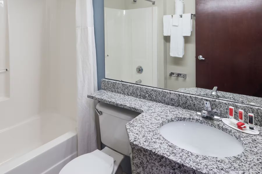 Microtel Inn Suites Greenville by Wyndham — Bathroom