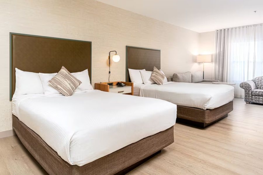 Midnight Rose Hotel and Casino — Guest room