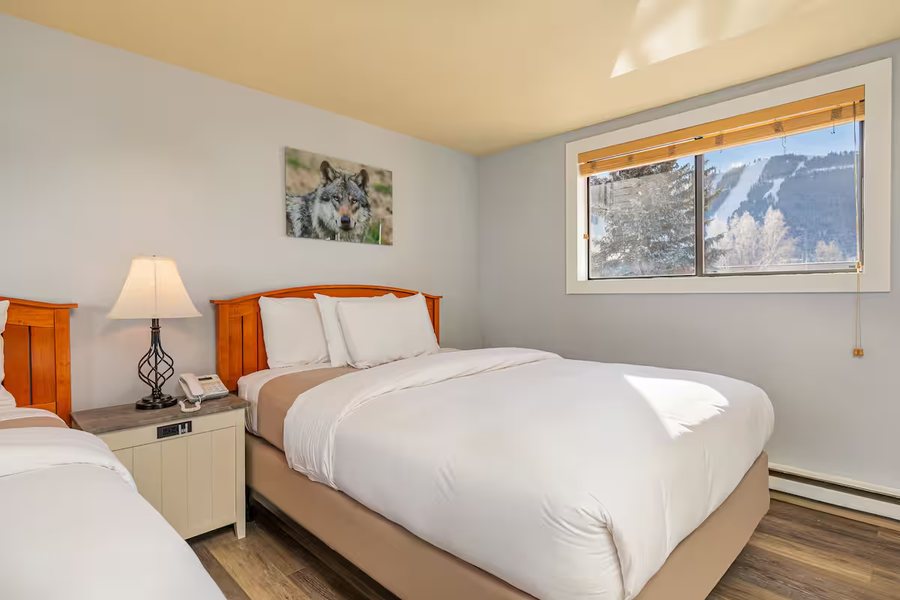 Miller Park Lodge — Guest room