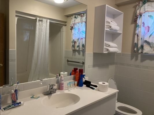 Mohican Motel — Bathroom
