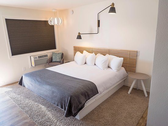 Monarch Motel — Guest room