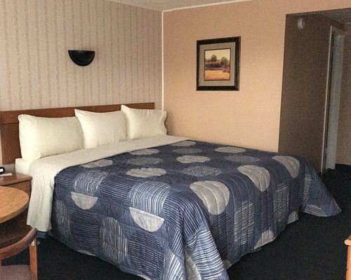 Moonlite Motel — Guest room