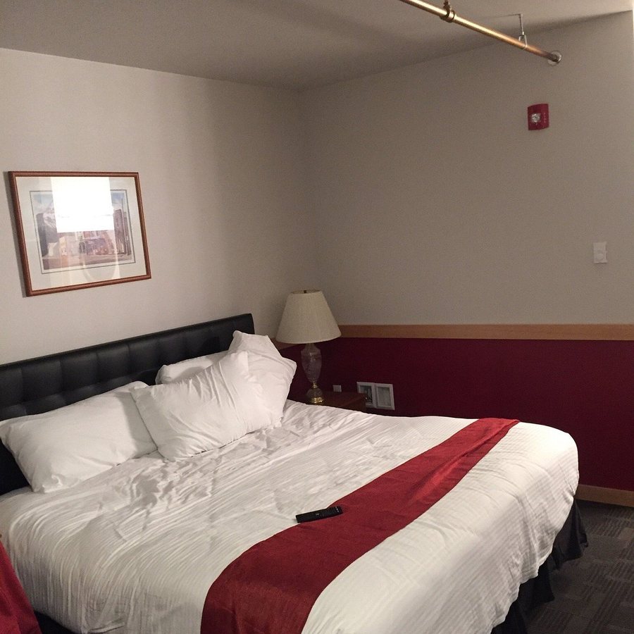 Morning Wood Hotel — Guest room