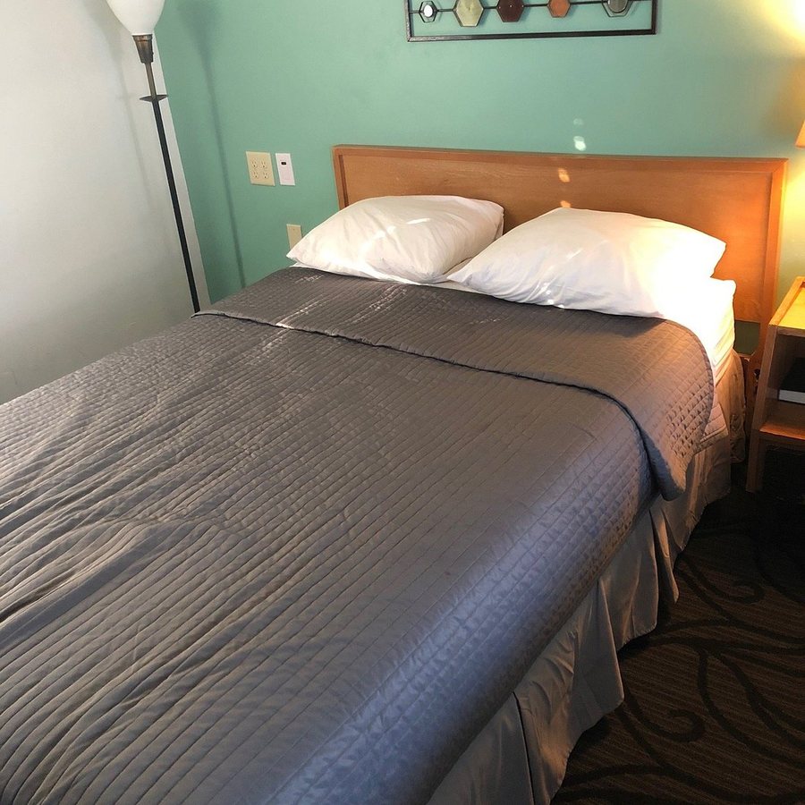 Motel 57 — Guest room