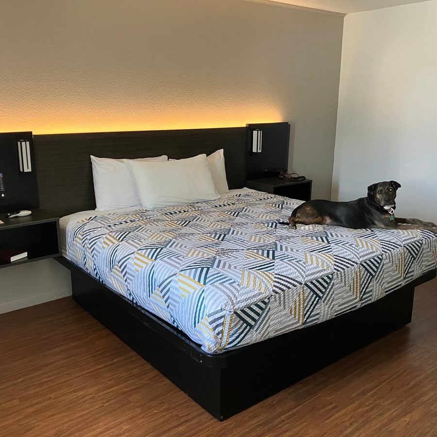 Motel 6 Junction TX Llano River — Guest room