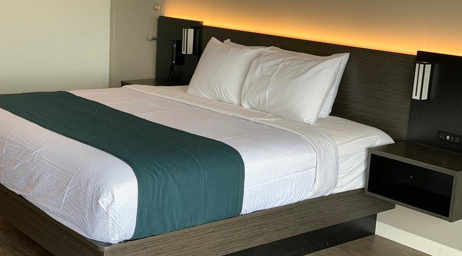 Motel 6 Louisville KY Airport Fair Expo — Guest room