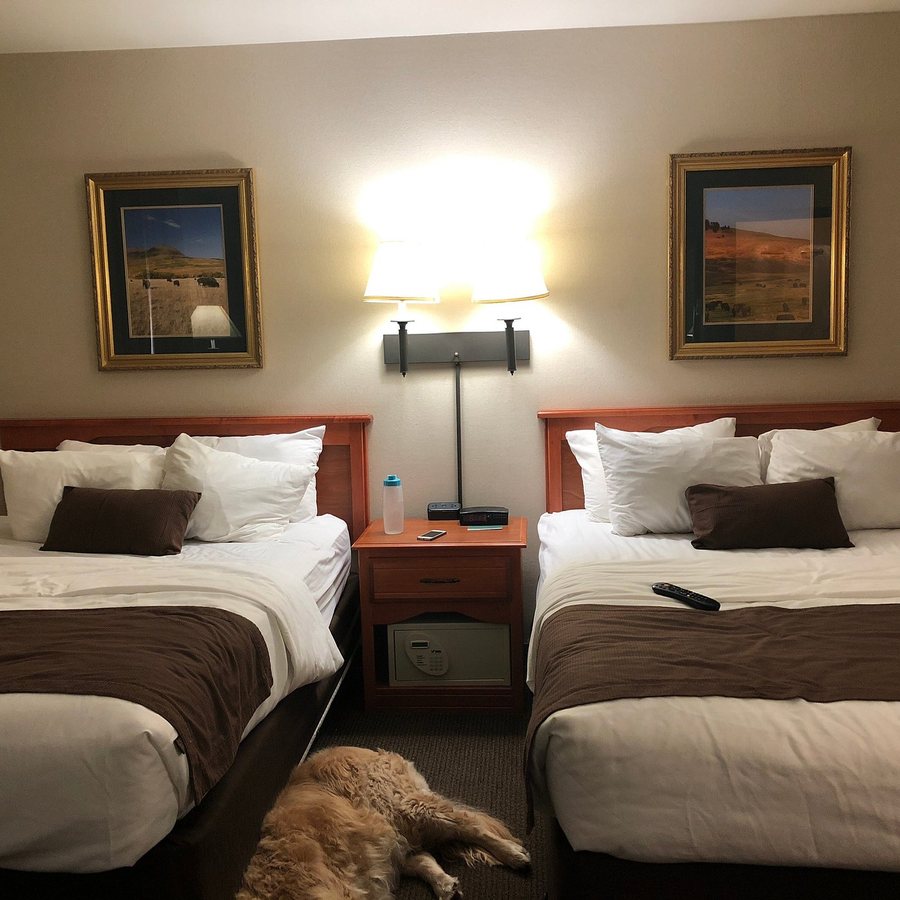 Motel 6 Minot ND — Guest room
