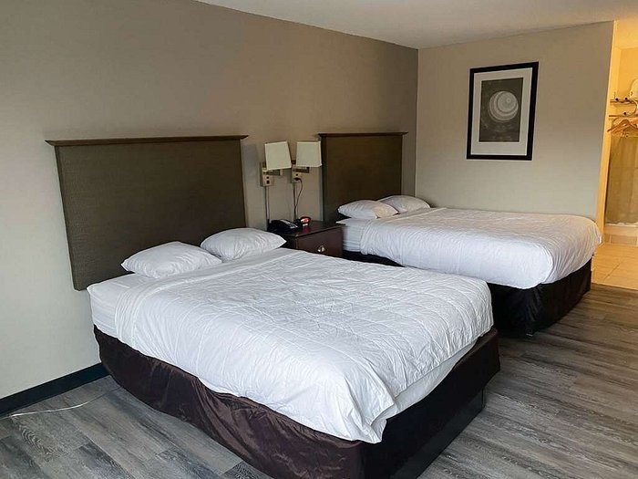 Motel 6 Rochester — Guest room