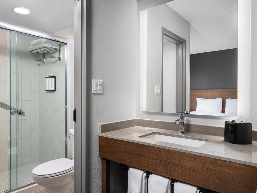 Mountain Inn Suites Airport — Bathroom