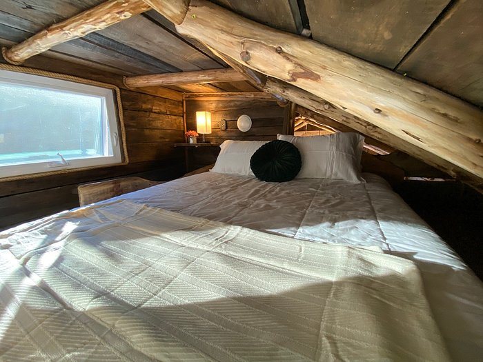 Mountain Shire — Guest room