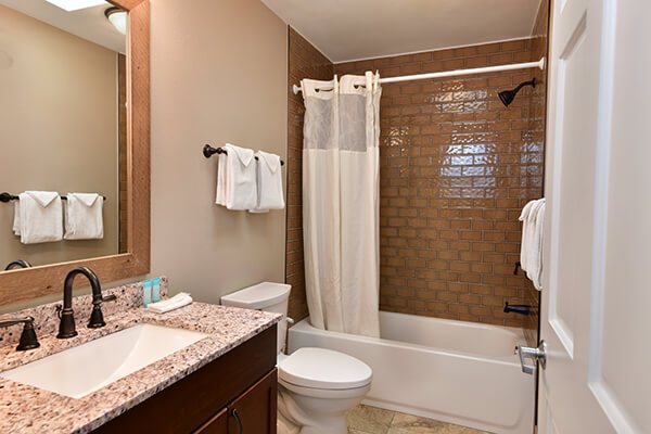 Mt Olympus Water And Theme Park Resort — Bathroom