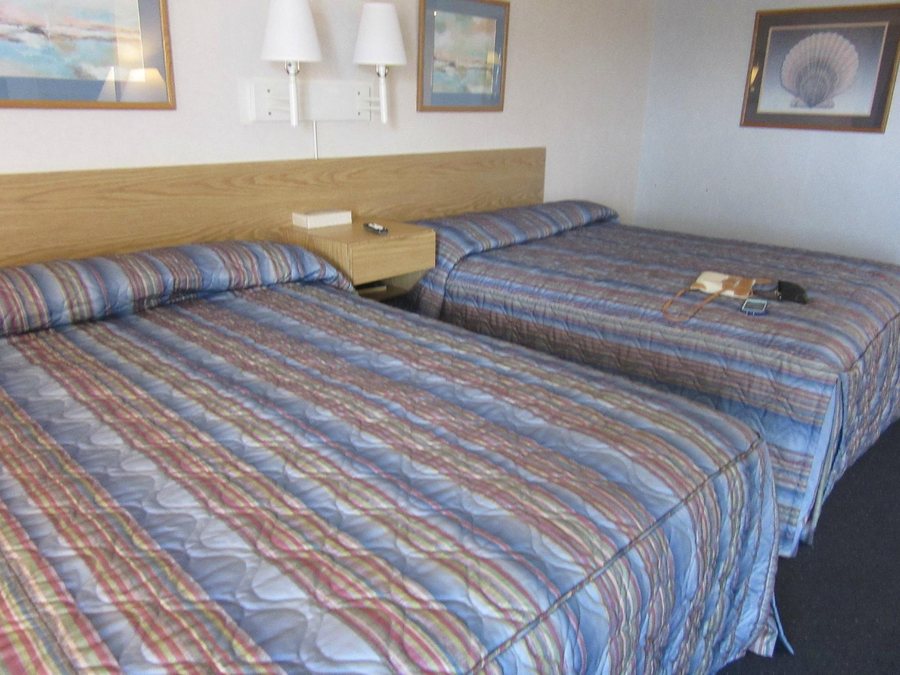 Mt Vernon Motel — Guest room