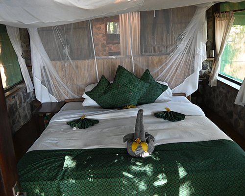 Mvuu Camp — Guest room