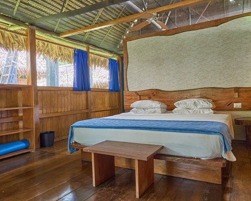 My Amazon Lodge — Guest room