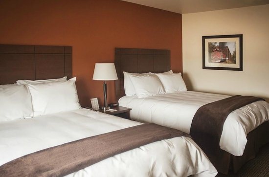 My Place Hotel Fargo ND — Guest room
