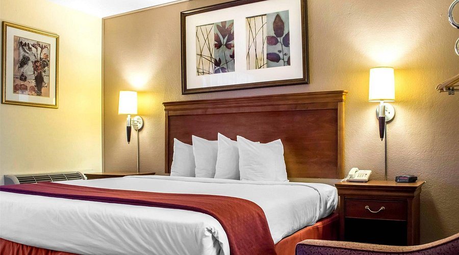 My Place Suites — Guest room