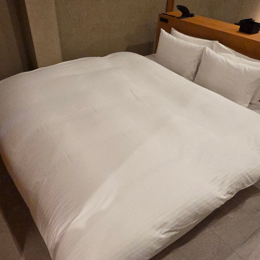 Nazuna Kyoto Nishi Honganji — Guest room